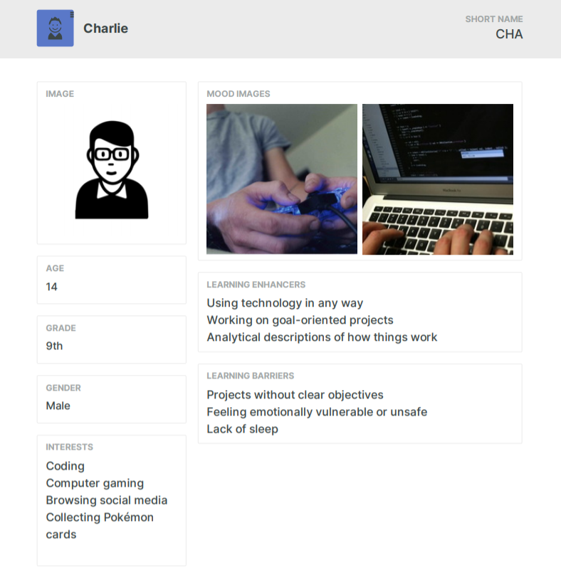 Student persona example visualizing a 14 year old boy and his hobbies.