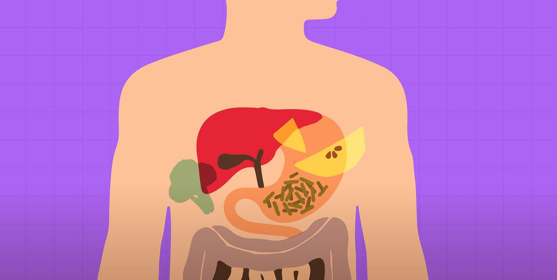 FoodHack-Trend-Illustrations-2021-Functional-2