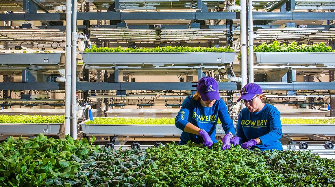 bowery-farming-bloomberg@2x