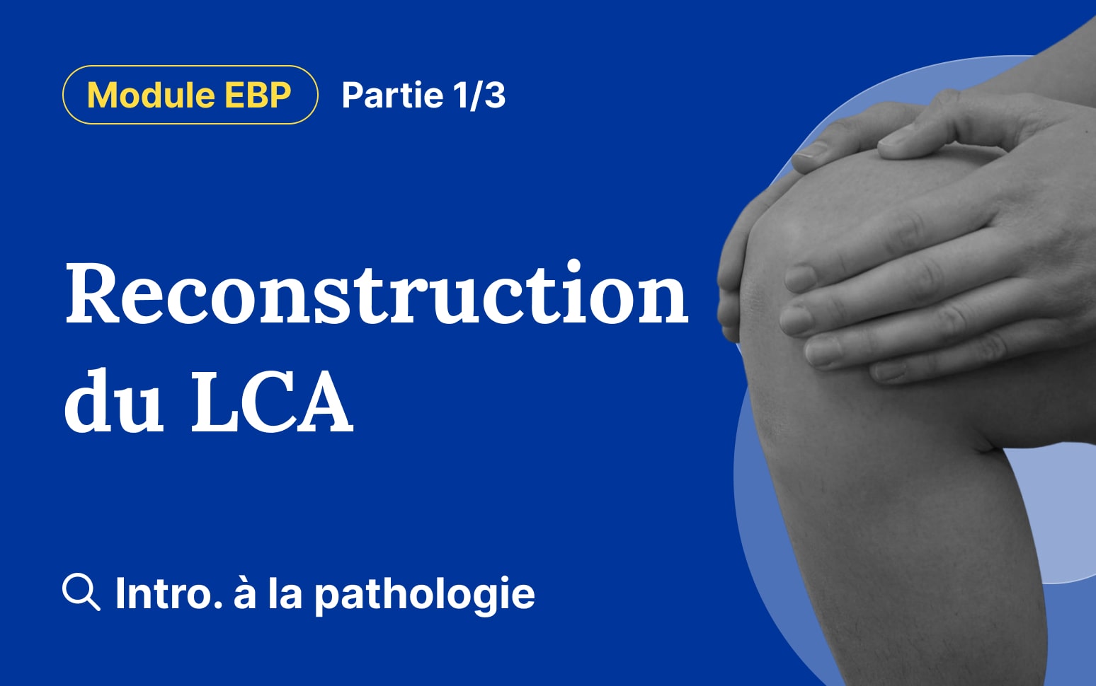 Module - La reconstruction du LCA - Introduction à la pathologie