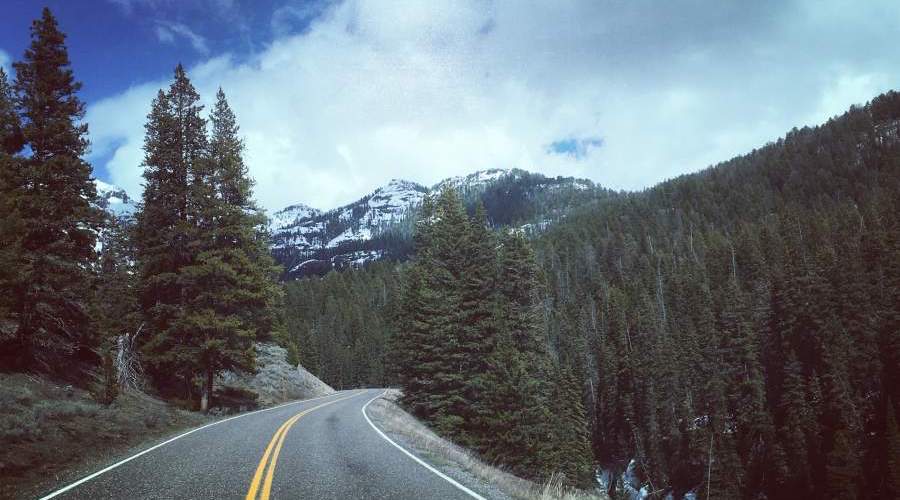 yellowstone national park