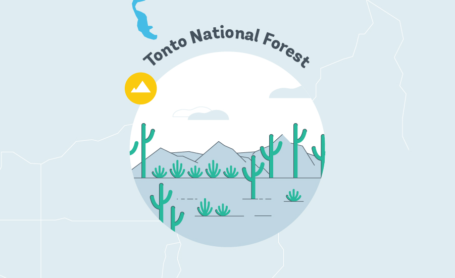 Tonto National Forest Graphic