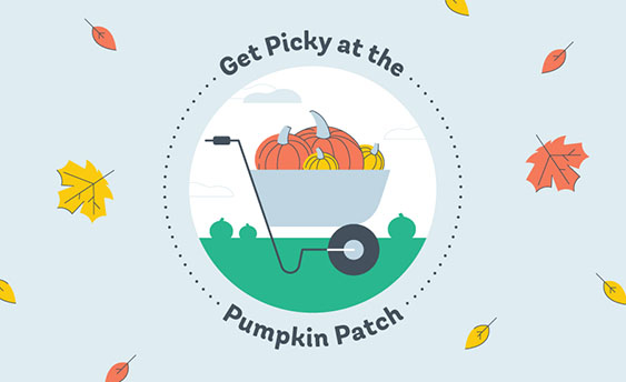 pumpkin patch graphic