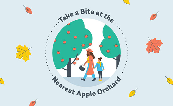 apple orchard graphic