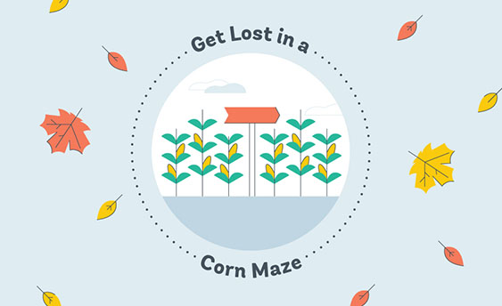 corn maze graphic