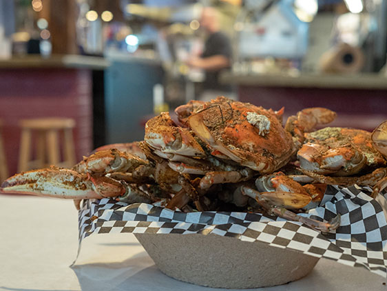 baltimore blue crab