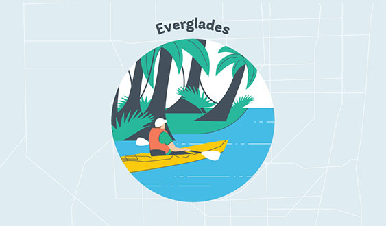 everglades graphic