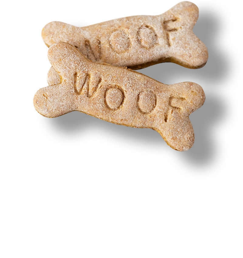 How to Pretty as a Paw Dog Treats