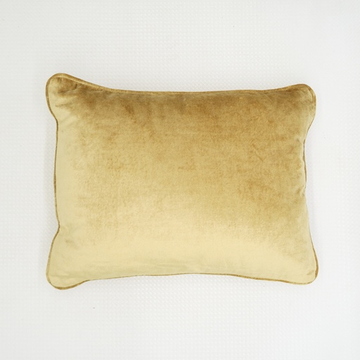 coussin velours doré