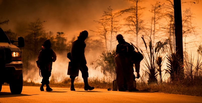 firefighters