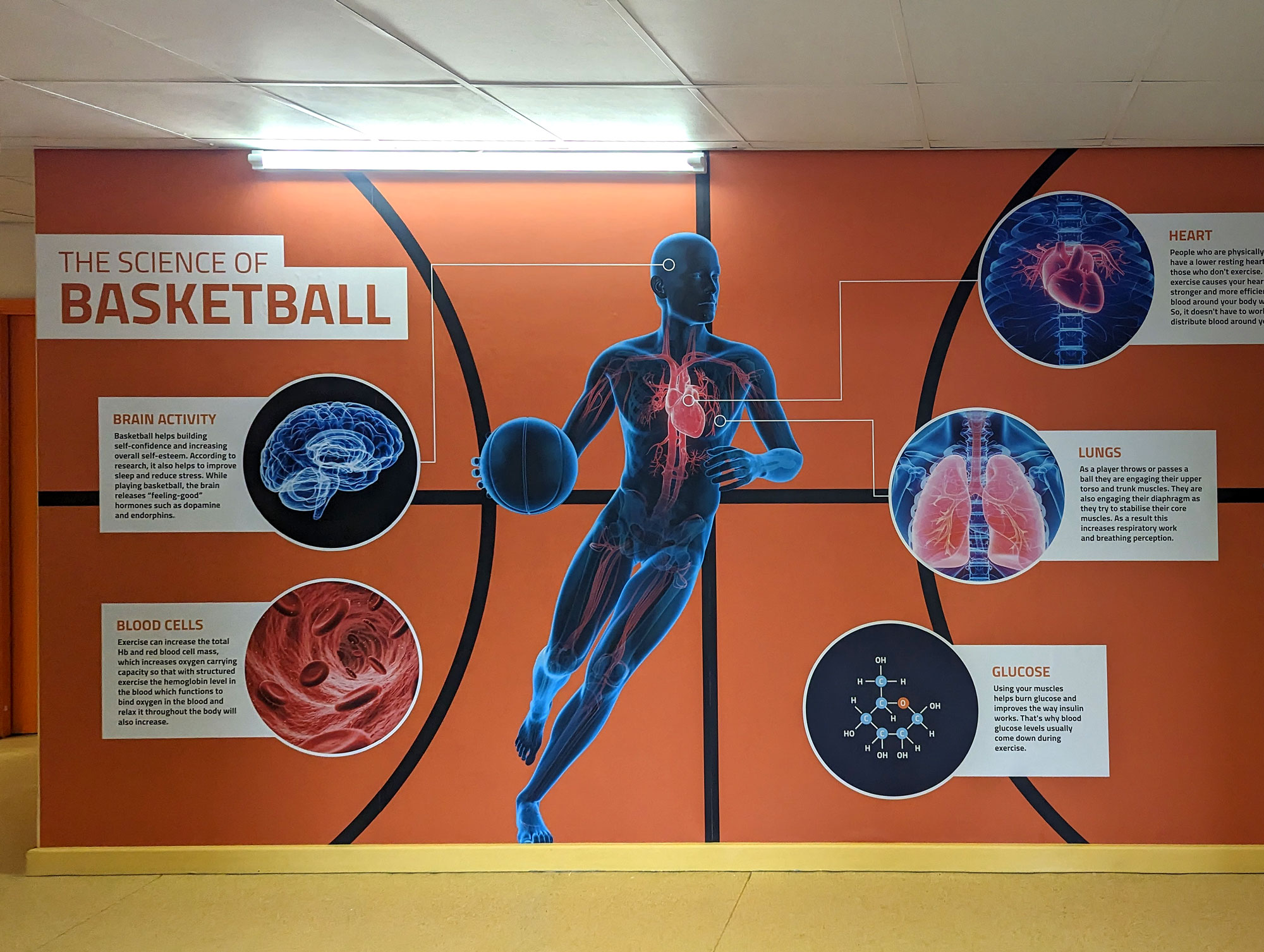 Broadway Aacademy Sports Science Wall Graphic