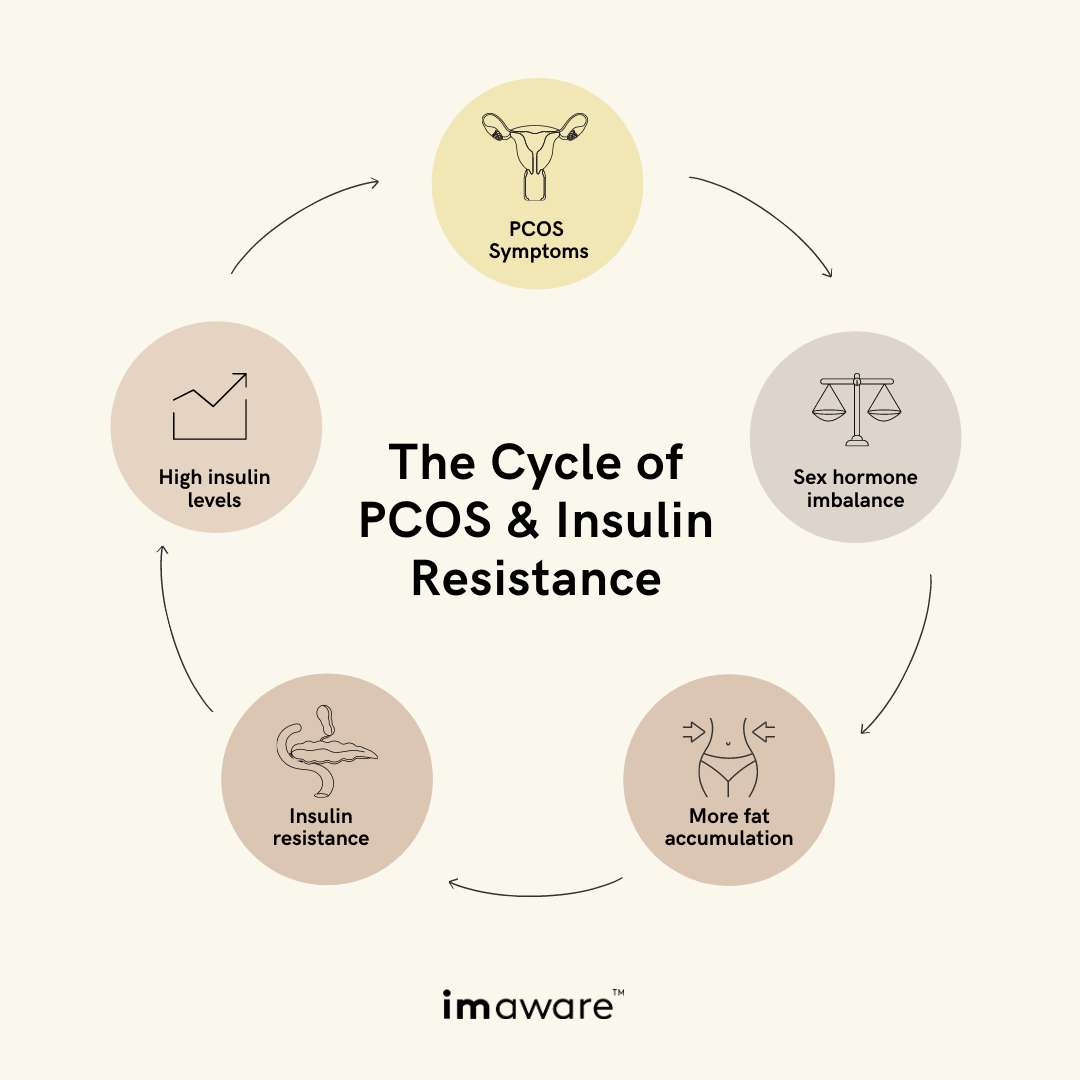 The Link Between PCOS Insulin Resistance Imaware 