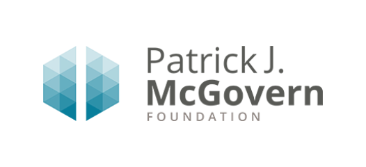 Link to Patrick J. McGovern Foundation website