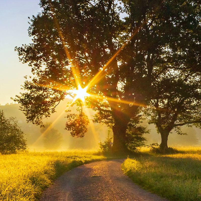 Principles of humane technology