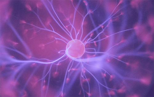 Link to Brain Science page