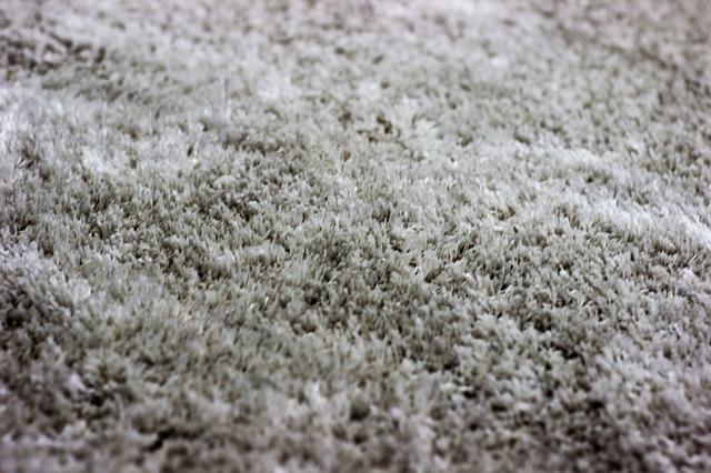 polyester material