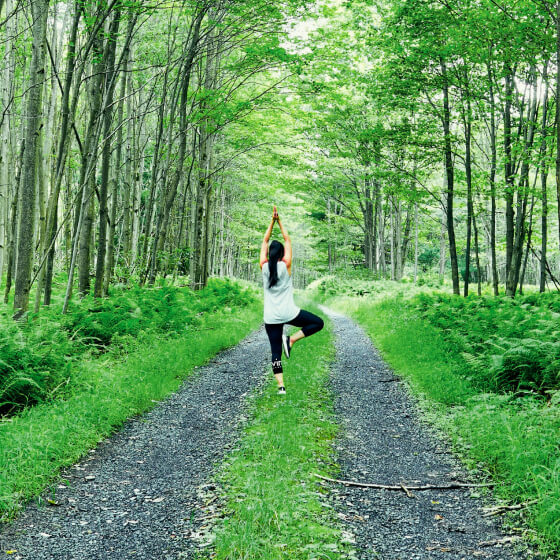 Pure Tranquility Day Spa & Massage Relax Your Mind, Body, & Soul