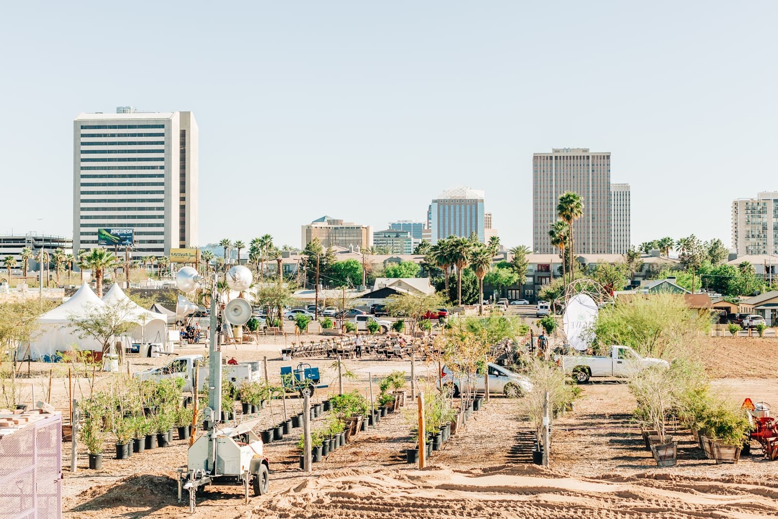 The Economic Gamble of Agave Farming