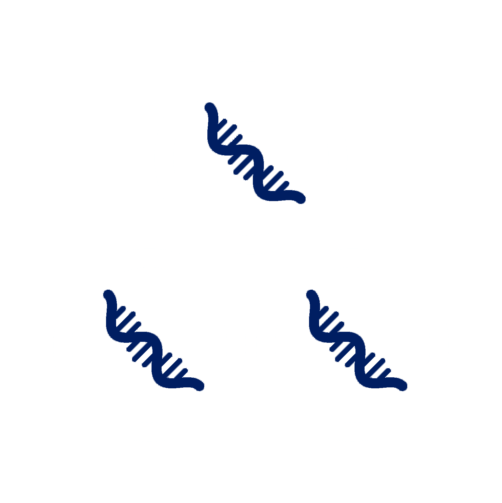 Services | Macrogen Europe