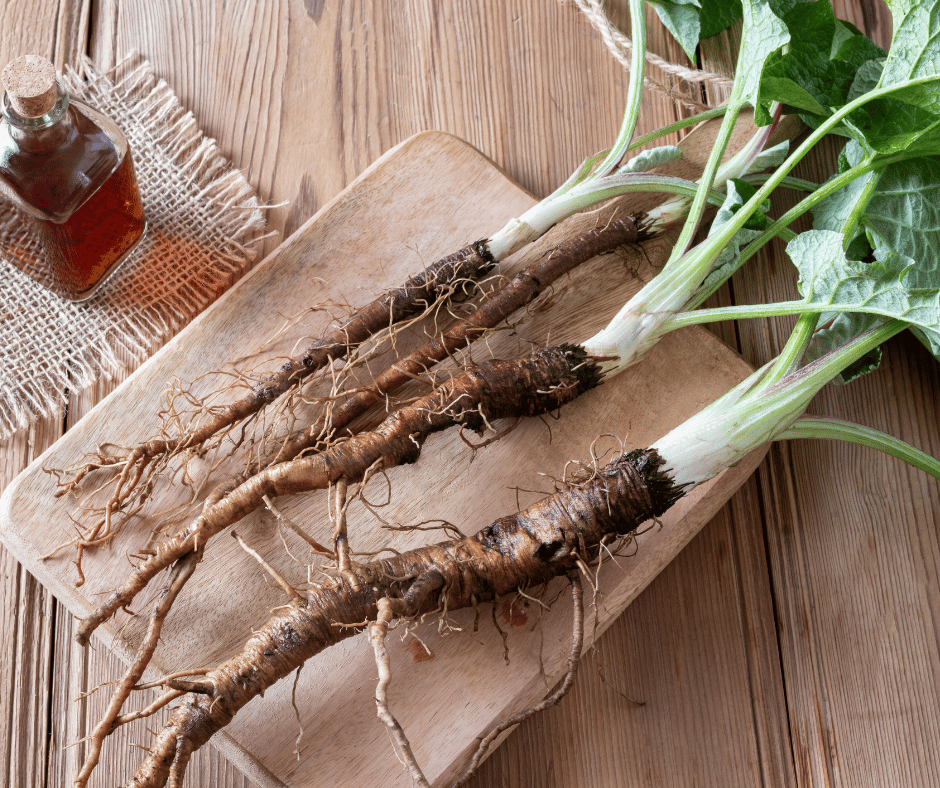 Herbal Series Herbs to support your Luteal and Premenstrual Phase