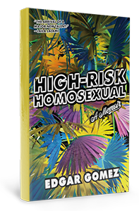 Book Cover-High-Risk Homosexual