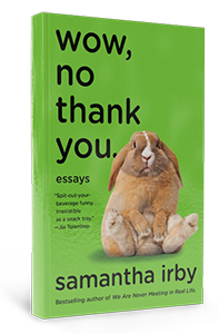 Book Cover-Wow, No Thank You.