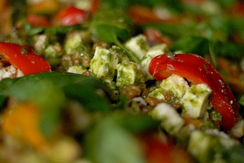 Salads NOSH Wellington