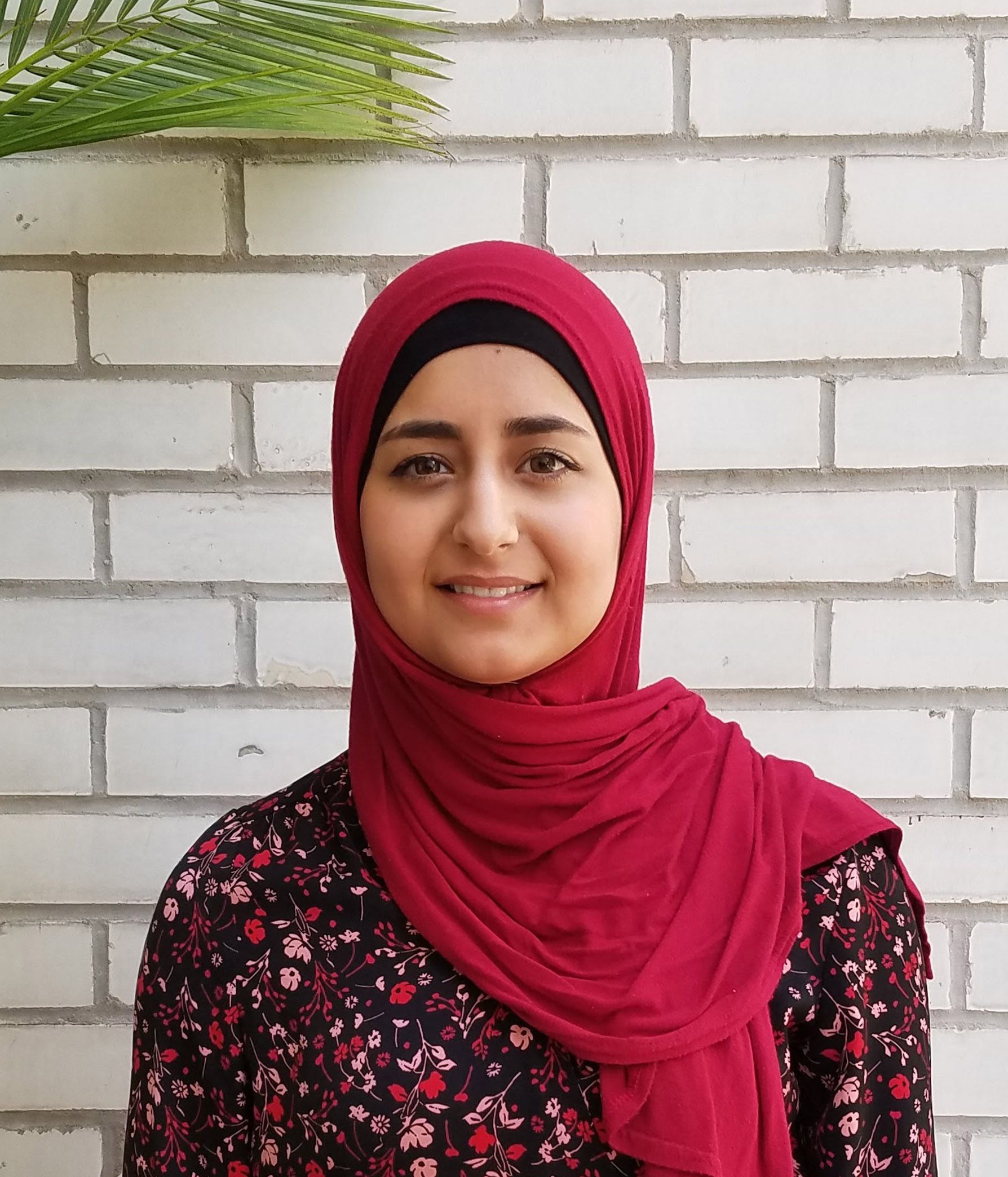 Shahd Coding Fellow