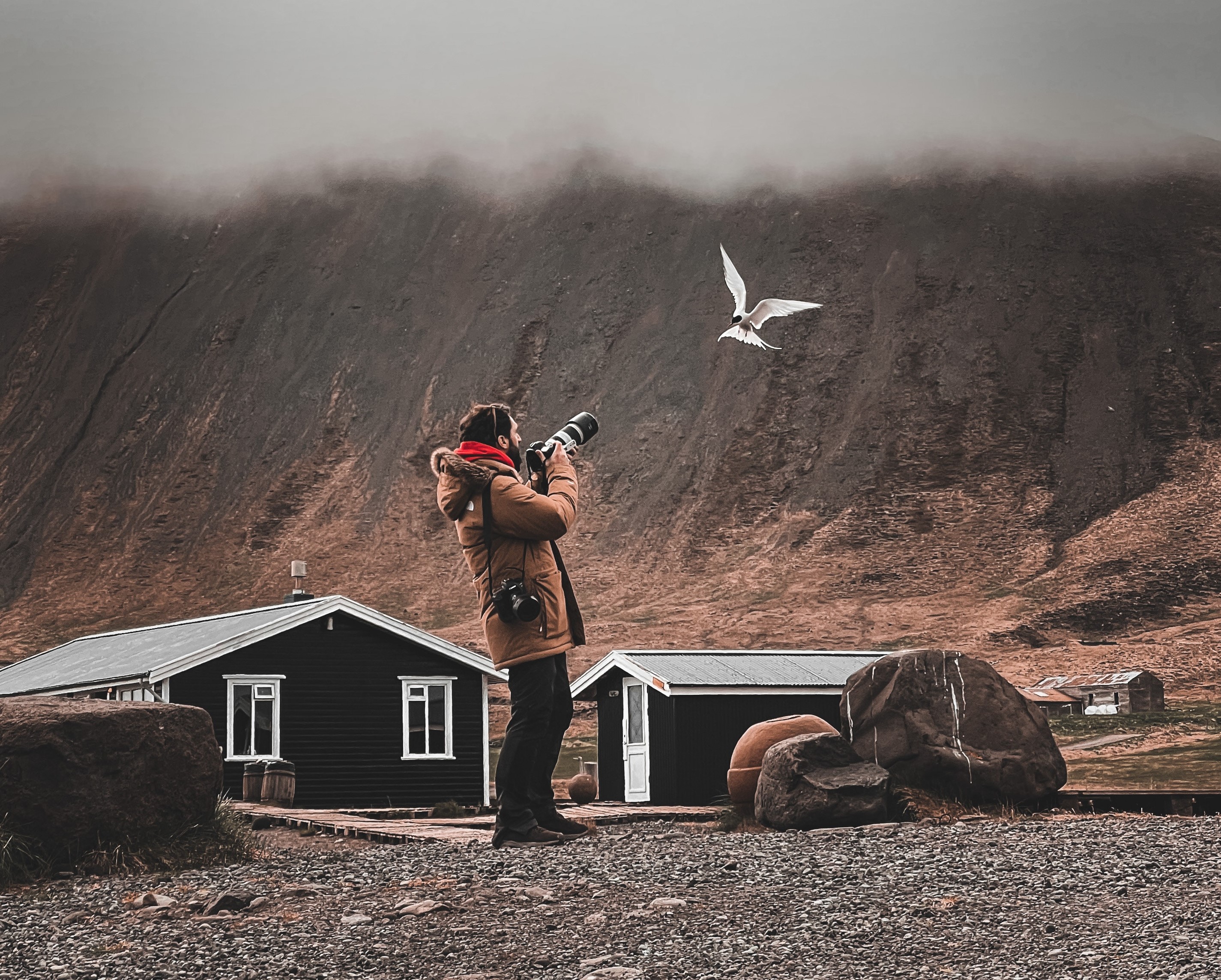 Top 10 Birding MustHaves for Every Enthusiast