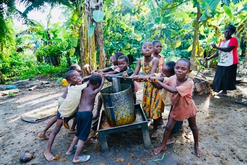 Children Working on Palm Oil Farm