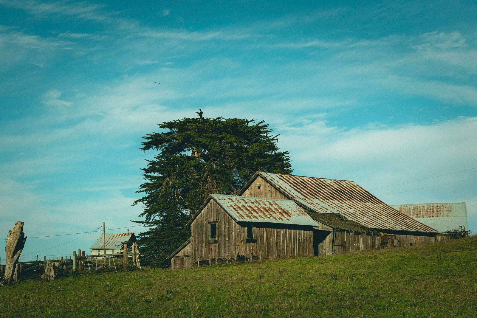 Point Reyes A Guide to Isadore