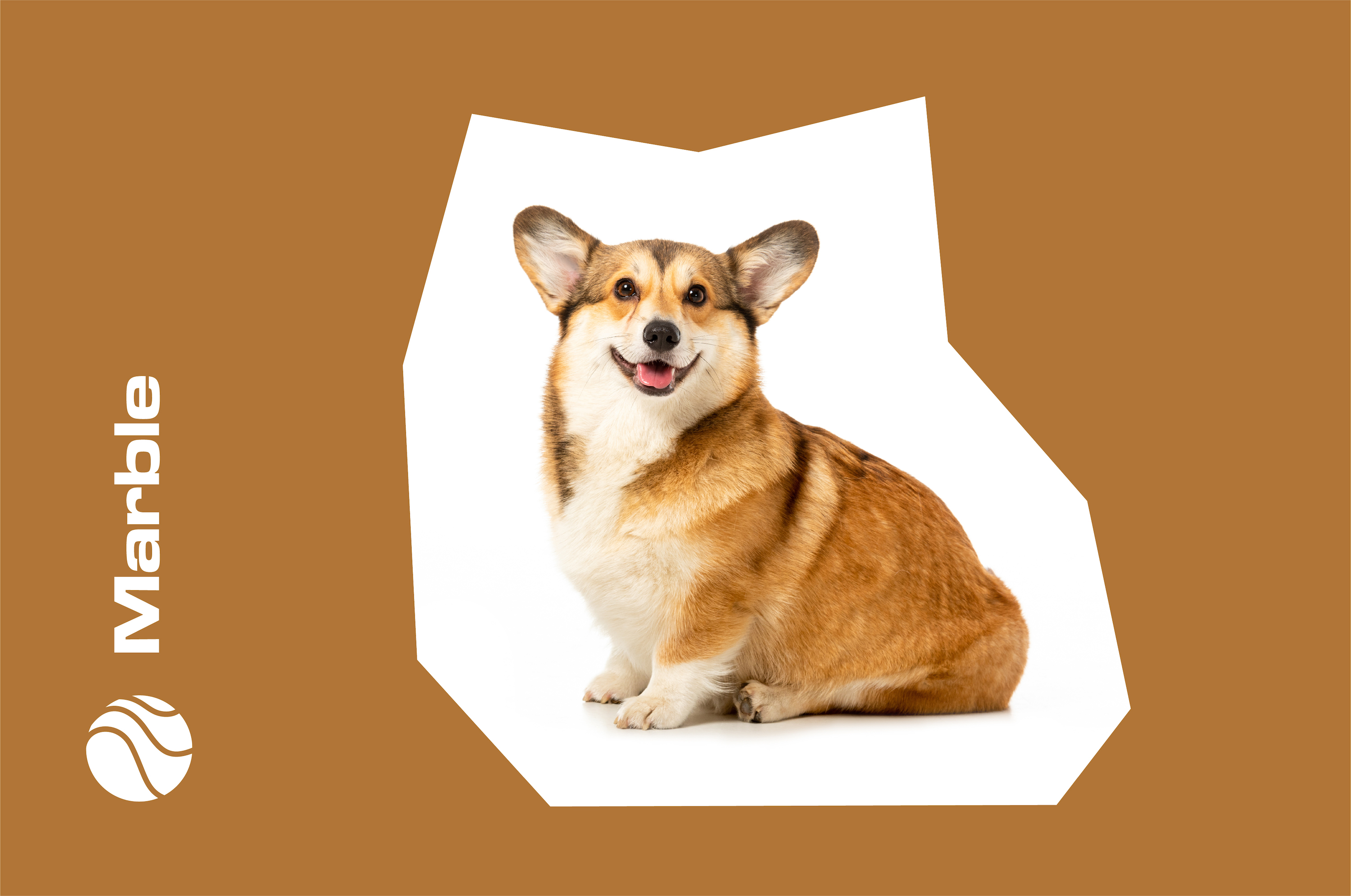 Announcing 2023’s Best Pet Name (According To Marble Members)