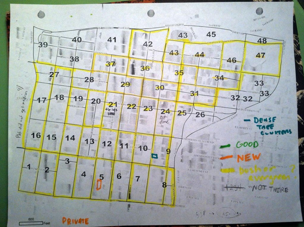 Tree Mapping Project