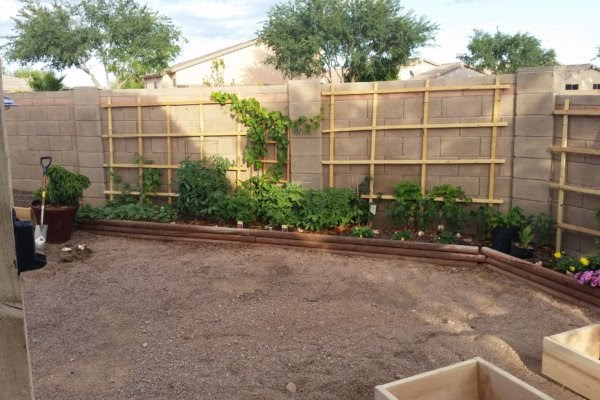 Raised-Bed Garden in the Southwest by Richard Mellen Truly Organic Realtor in Peoria AZ