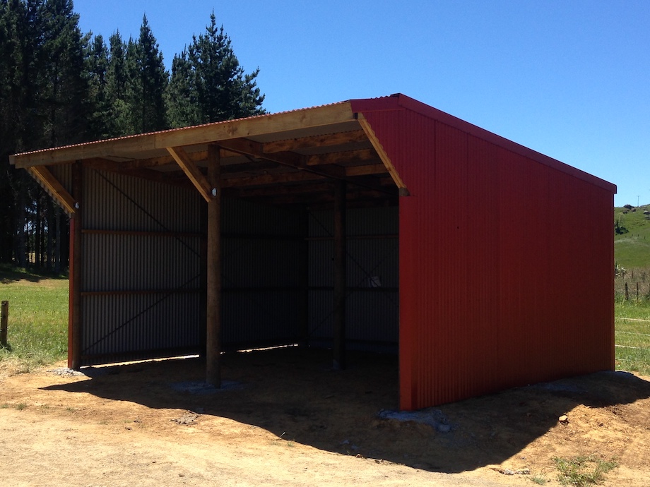 Double Bay Calf Rearing Shed Timber pole kitset Sheds