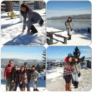 Aurora and Friends on snowy adventures in Texas