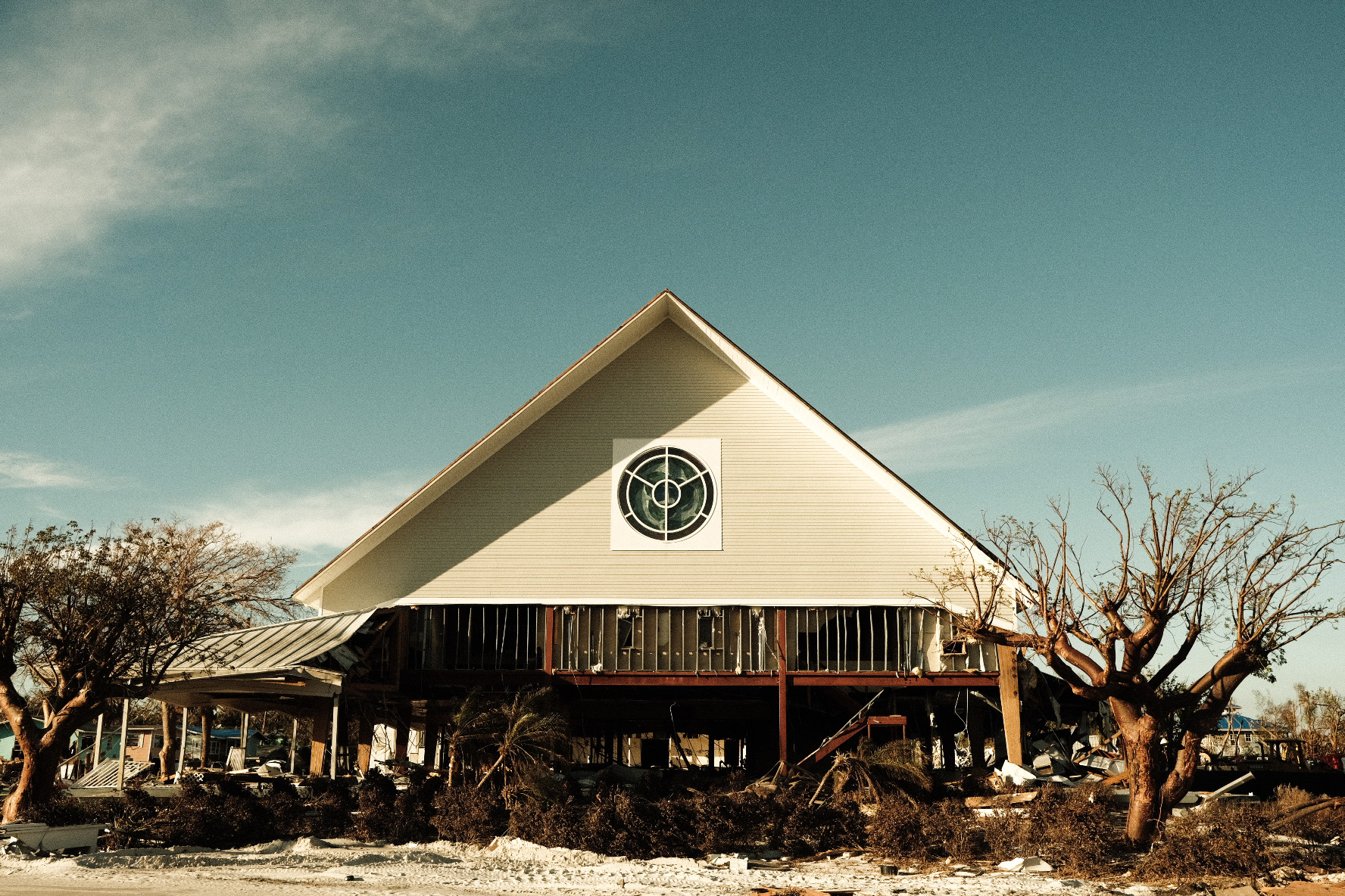 Deep Roots - Pursuit Collective