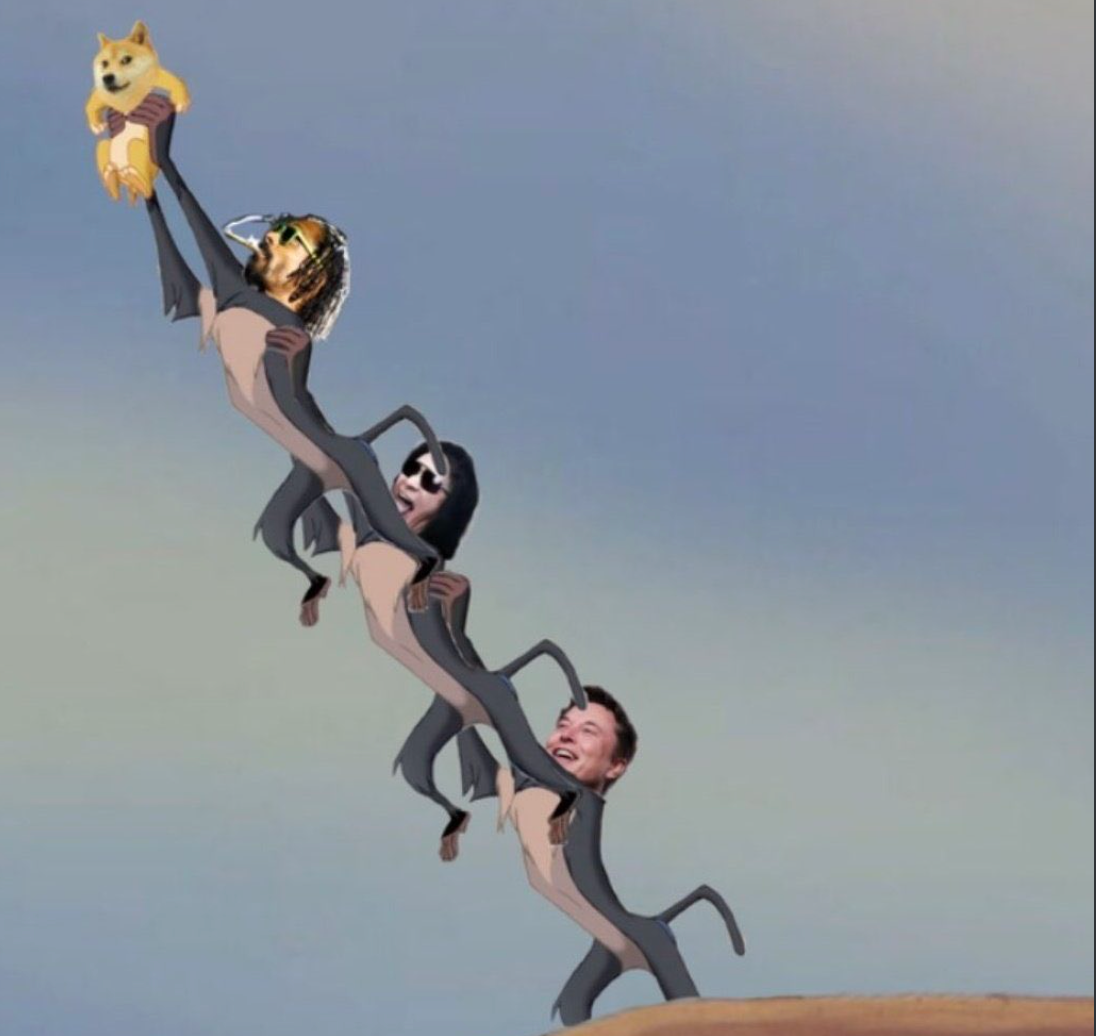 elonsmusksdoges