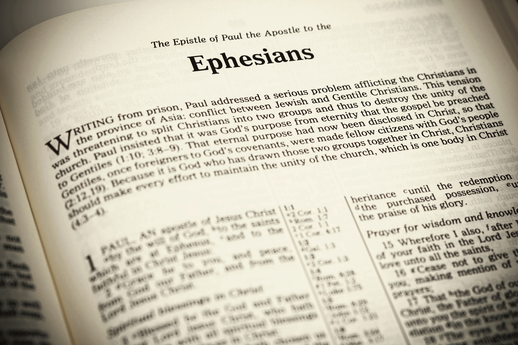 A Glimpse Into the Epistles Paul's Letters to the Thessalonians