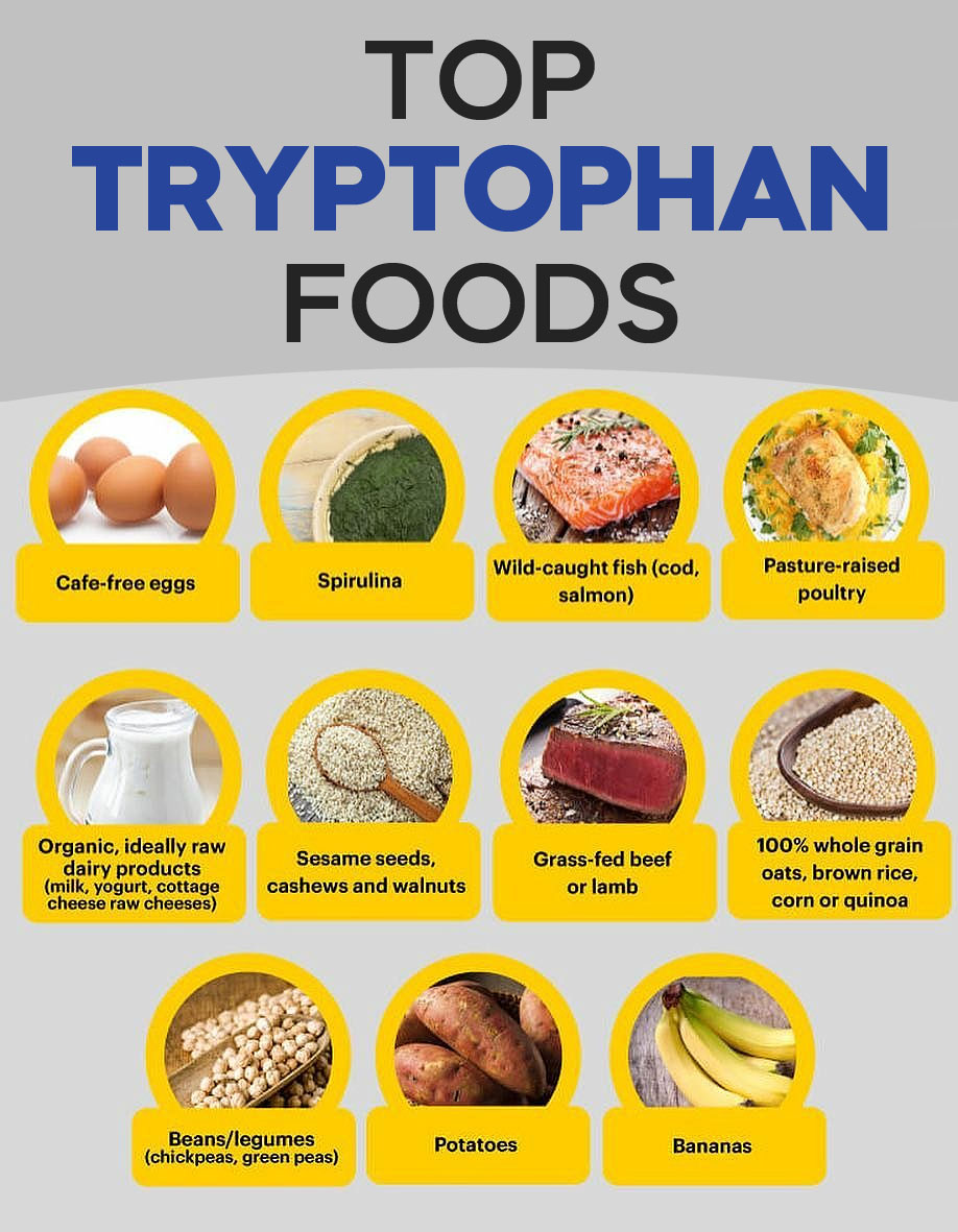 Top Tryptophan Foods