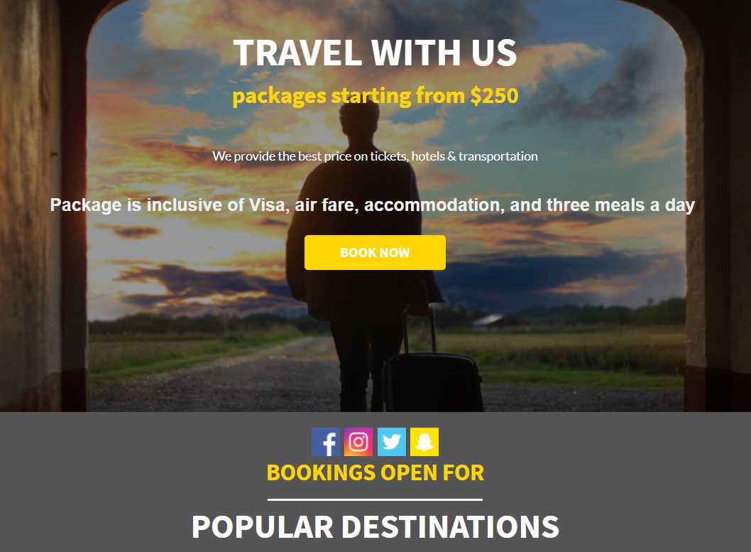 Picture of a traveler with luggage and travelling package details of the trips by organizers