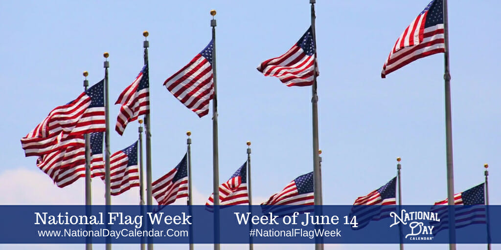 60+ June Newsletter Ideas For Your Marketing Campaigns in 2024 Mailmunch