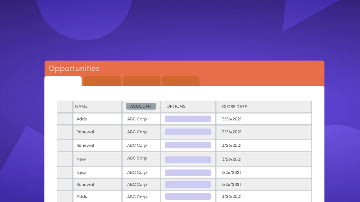 Graphical representation of a Salesforce Opportunities table with a grid view
