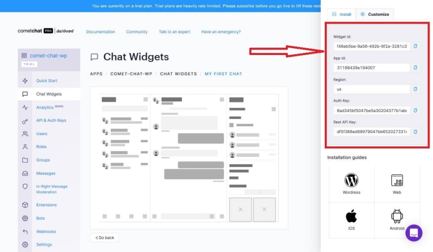 chat widget installation and customization page