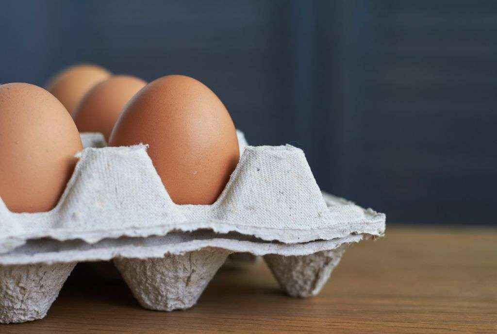 Order wholesale from Hawkes Bay Eggs using Upstock