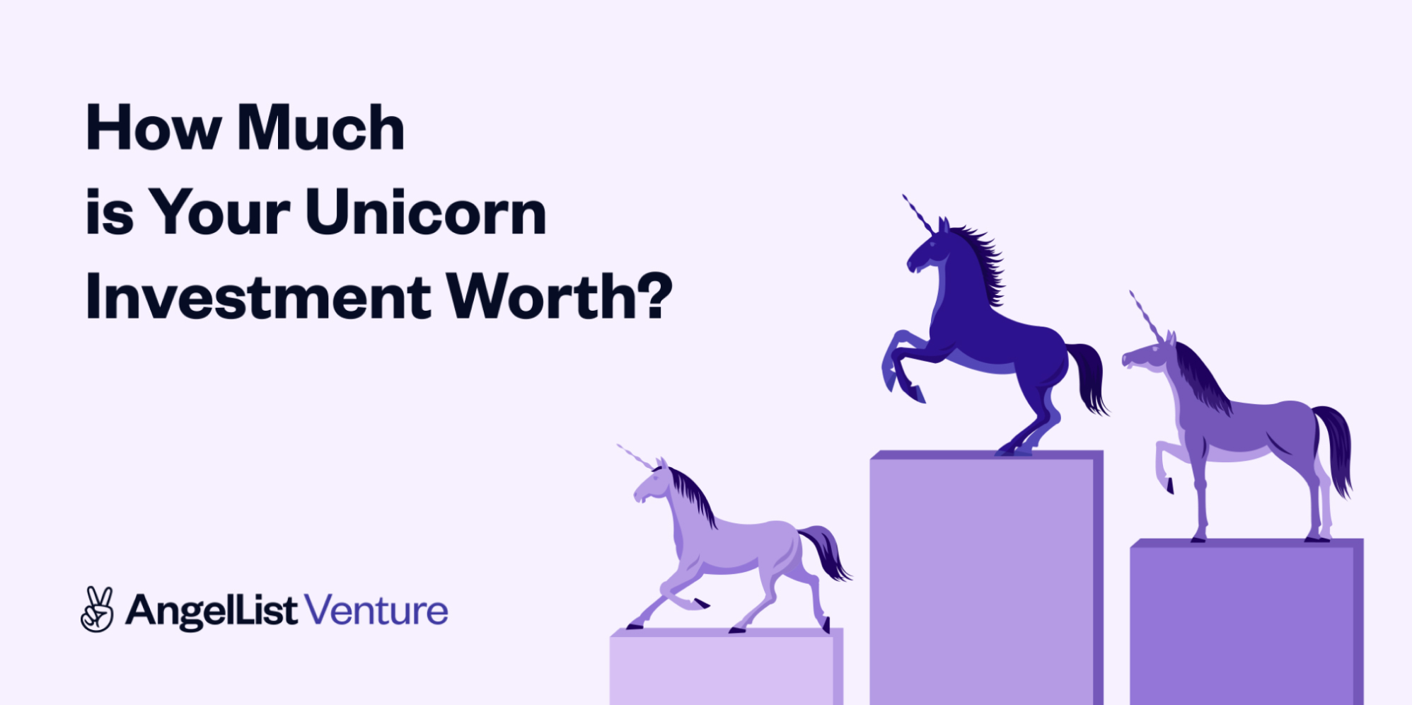 How Much is Your Unicorn Investment Worth?