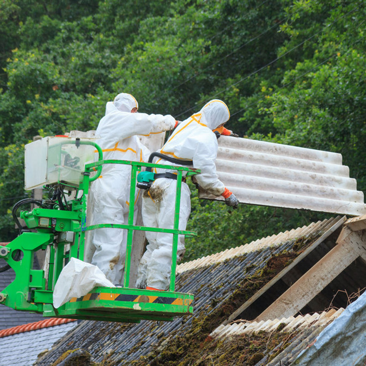 Asbestos Removal