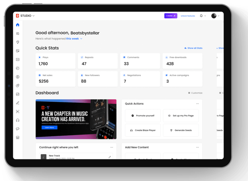 BeatStars Survey