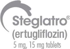 Projekte, die Erfolg steigern – Spirit Link