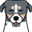 Kona | For L&D Teams
